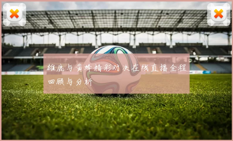 雄鹿与黄蜂精彩对决在线直播全程回顾与分析