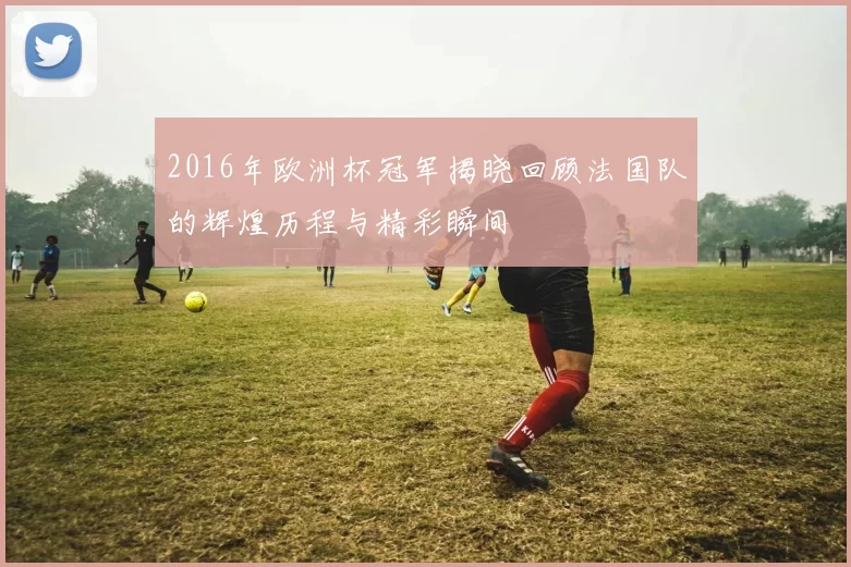 2016年欧洲杯冠军揭晓回顾法国队的辉煌历程与精彩瞬间