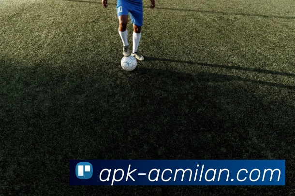 App Interface Preview